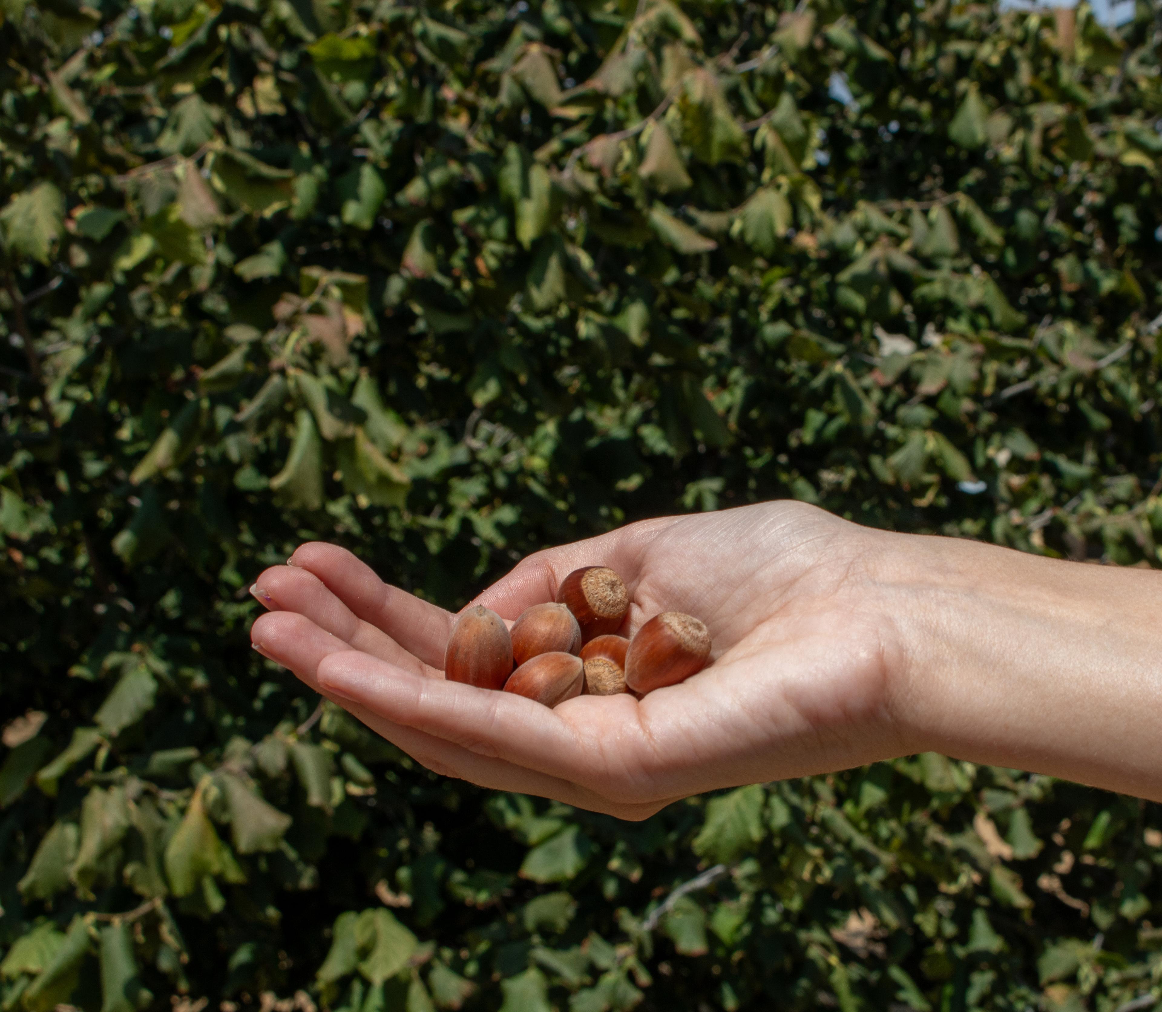 CREACIÓN DE CONTENIDO 1