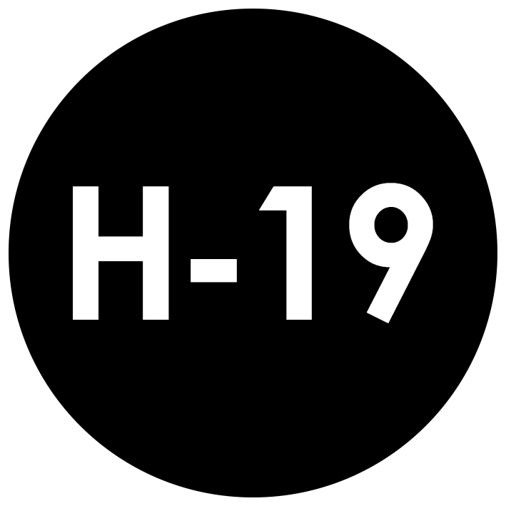 H-19